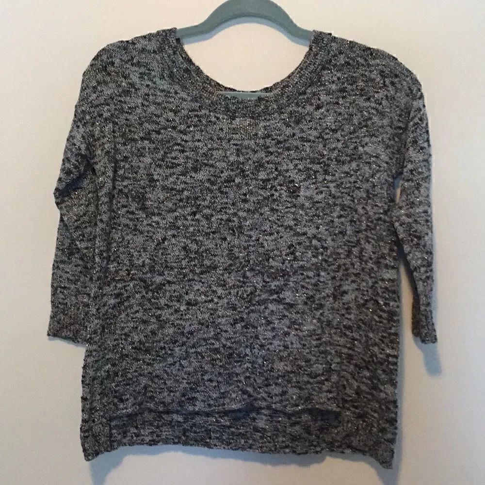 American Eagle Sparkly Crop Sweater